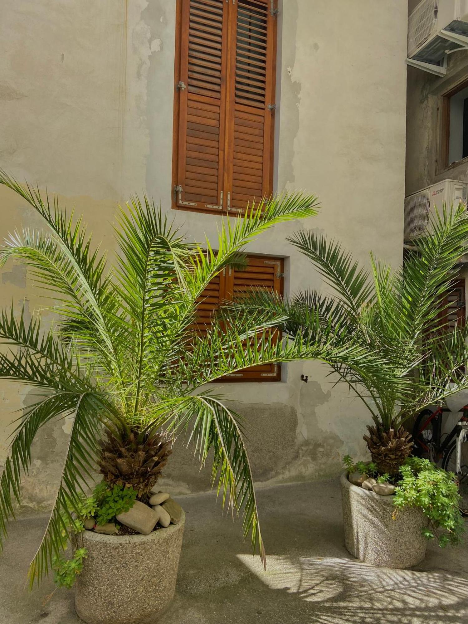 Apartment Puntamare